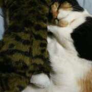 ヒメ日記 2025/12/16 17:55 投稿 ろみ 熟女家 東大阪店（布施・長田）