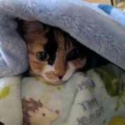 ヒメ日記 2026/02/02 19:25 投稿 ろみ 熟女家 東大阪店（布施・長田）