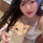 ヒメ日記 2025/06/03 16:23 投稿 さき TOKYO BUNNYS CLUB