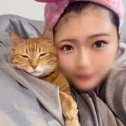 ヒメ日記 2025/11/20 03:13 投稿 さき TOKYO BUNNYS CLUB