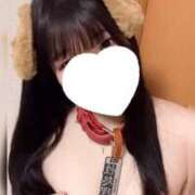 ヒメ日記 2026/02/09 01:36 投稿 メダイ(目鯛) 女の子市場　川越店