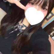 ヒメ日記 2026/02/10 13:40 投稿 メダイ(目鯛) 女の子市場　川越店