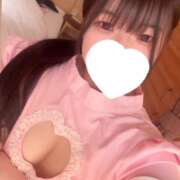ヒメ日記 2026/05/28 16:54 投稿 メダイ(目鯛) 女の子市場　川越店