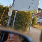 ヒメ日記 2025/02/26 16:31 投稿 れあ 木更津人妻花壇