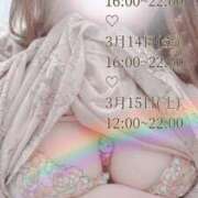 ヒメ日記 2025/03/11 11:00 投稿 れあ 木更津人妻花壇