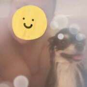 ヒメ日記 2025/03/12 22:38 投稿 れあ 木更津人妻花壇