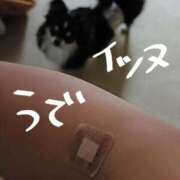 ヒメ日記 2025/03/15 12:57 投稿 れあ 木更津人妻花壇