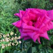 ヒメ日記 2026/06/24 22:45 投稿 椿ゆり 松戸人妻花壇