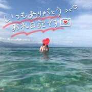 椿ゆり 御礼だよ♡ 松戸人妻花壇