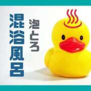 ヒメ日記 2025/11/13 15:03 投稿 もか the SPA KADOEBI