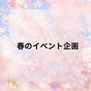 ヒメ日記 2026/04/15 12:22 投稿 もか the SPA KADOEBI