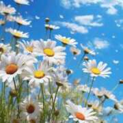 ヒメ日記 2025/01/25 13:15 投稿 ひかり 厚木人妻城