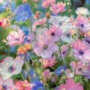 ヒメ日記 2025/01/28 08:15 投稿 ひかり 厚木人妻城