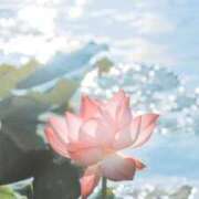 ヒメ日記 2025/01/31 16:15 投稿 ひかり 厚木人妻城