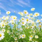 ひかり 予約してくれたT様へ 厚木人妻城