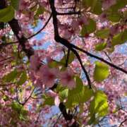 ヒメ日記 2025/03/23 00:19 投稿 Kana CELEB（セレブ）