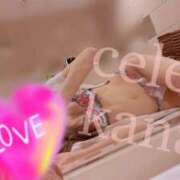 ヒメ日記 2025/06/24 07:13 投稿 Kana CELEB（セレブ）