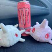 ヒメ日記 2025/01/22 23:24 投稿 れお♡誰もが振り返る最高彼女 ジャックと豆の木