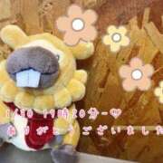 ヒメ日記 2025/02/01 09:45 投稿 れお♡誰もが振り返る最高彼女 ジャックと豆の木