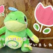 ヒメ日記 2025/02/08 07:00 投稿 れお♡誰もが振り返る最高彼女 ジャックと豆の木