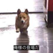 ヒメ日記 2025/03/05 16:45 投稿 れお♡誰もが振り返る最高彼女 ジャックと豆の木