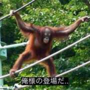 ヒメ日記 2025/03/06 16:52 投稿 れお♡誰もが振り返る最高彼女 ジャックと豆の木