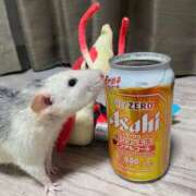 ヒメ日記 2025/03/07 02:33 投稿 れお♡誰もが振り返る最高彼女 ジャックと豆の木