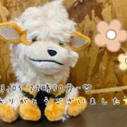 ヒメ日記 2025/03/07 19:02 投稿 れお♡誰もが振り返る最高彼女 ジャックと豆の木