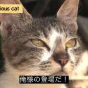 ヒメ日記 2025/03/13 16:45 投稿 れお♡誰もが振り返る最高彼女 ジャックと豆の木