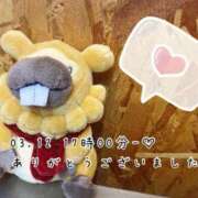 ヒメ日記 2025/03/15 07:01 投稿 れお♡誰もが振り返る最高彼女 ジャックと豆の木