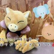 ヒメ日記 2025/03/30 07:30 投稿 れお♡誰もが振り返る最高彼女 ジャックと豆の木