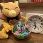 ヒメ日記 2025/03/31 18:06 投稿 れお♡誰もが振り返る最高彼女 ジャックと豆の木