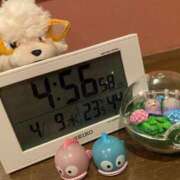 ヒメ日記 2025/04/09 16:59 投稿 れお♡誰もが振り返る最高彼女 ジャックと豆の木