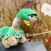 ヒメ日記 2025/04/11 08:30 投稿 れお♡誰もが振り返る最高彼女 ジャックと豆の木