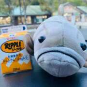 ヒメ日記 2025/04/16 12:14 投稿 れお♡誰もが振り返る最高彼女 ジャックと豆の木