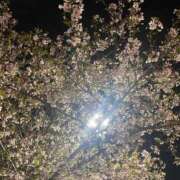 ヒメ日記 2025/04/17 10:13 投稿 れお♡誰もが振り返る最高彼女 ジャックと豆の木