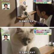 ヒメ日記 2025/04/25 02:12 投稿 れお♡誰もが振り返る最高彼女 ジャックと豆の木