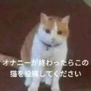 ヒメ日記 2025/05/13 01:32 投稿 れお♡誰もが振り返る最高彼女 ジャックと豆の木