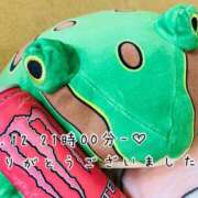 ヒメ日記 2025/05/14 13:16 投稿 れお♡誰もが振り返る最高彼女 ジャックと豆の木