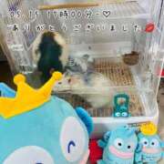 ヒメ日記 2025/05/18 19:15 投稿 れお♡誰もが振り返る最高彼女 ジャックと豆の木