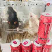 ヒメ日記 2025/05/18 19:45 投稿 れお♡誰もが振り返る最高彼女 ジャックと豆の木