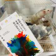 ヒメ日記 2025/05/20 16:29 投稿 れお♡誰もが振り返る最高彼女 ジャックと豆の木