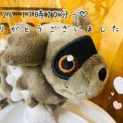 ヒメ日記 2025/05/28 05:30 投稿 れお♡誰もが振り返る最高彼女 ジャックと豆の木