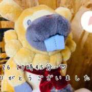 ヒメ日記 2025/05/28 06:00 投稿 れお♡誰もが振り返る最高彼女 ジャックと豆の木