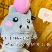 ヒメ日記 2025/05/28 10:15 投稿 れお♡誰もが振り返る最高彼女 ジャックと豆の木