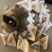 ヒメ日記 2025/06/28 12:30 投稿 れお♡誰もが振り返る最高彼女 ジャックと豆の木