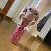 ヒメ日記 2025/07/09 20:08 投稿 れお♡誰もが振り返る最高彼女 ジャックと豆の木