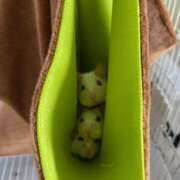 ヒメ日記 2025/10/15 19:41 投稿 れお♡誰もが振り返る最高彼女 ジャックと豆の木