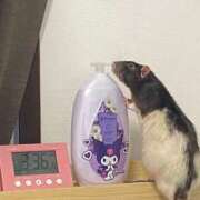 ヒメ日記 2025/10/21 21:13 投稿 れお♡誰もが振り返る最高彼女 ジャックと豆の木