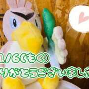 ヒメ日記 2025/11/08 14:02 投稿 れお♡誰もが振り返る最高彼女 ジャックと豆の木